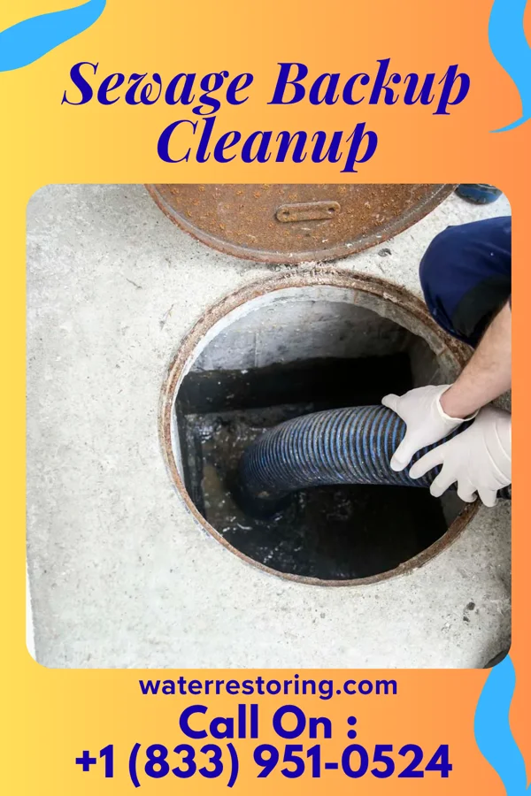 Sewage Backup Cleanup in Pottsville, AR